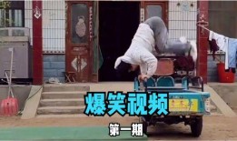 搞笑爆料的视频大全高清,高清爆笑瞬间大盘点